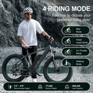 26" 52V 1000W Fat Tire Electric Bike, 15Ah Battery, 28MPH, 65+ Miles Range, 9-Speed, LCD Display - Adults Electric Bicycle Grey