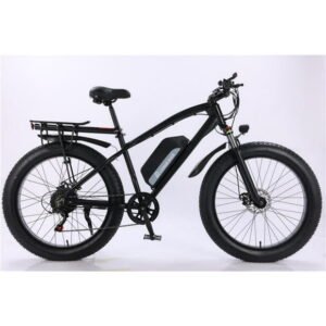 Chepei 26inch 750W 48V13.2AH Snow Electric Bicycle Fat Tire Mountian E-Bike off-road Electric Bicycles,(Adult)