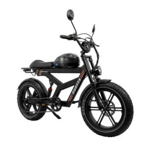 DUOTTS F20 Electric Bike -- 1000W Motor, 52V 27Ah Battery, All-Terrain Fat Tire E-Bike