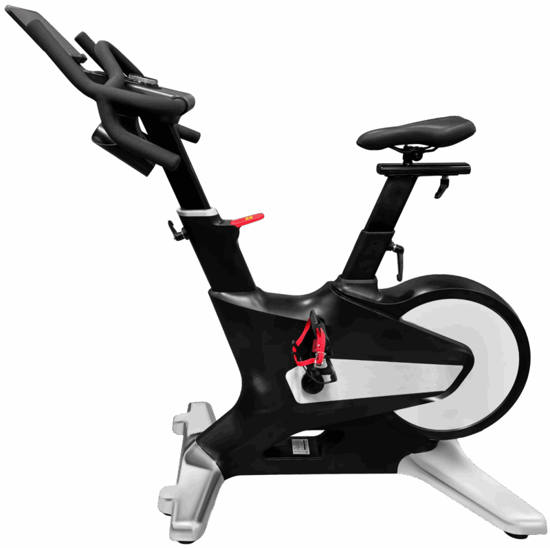 French Fitness MIC20 Indoor Cycle w/LED Console