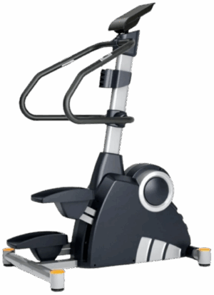 French Fitness Stair Climber Stepper SC600