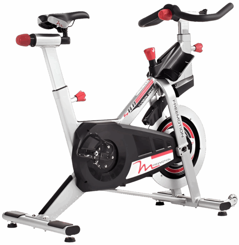 Freemotion S11.8 Carbon Drive Indoor Cycle