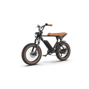 Glarewheel EB-X7PRO 20 in. 500W X7Pro Fat Tire Electric Bike