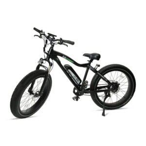 GoPowerBike GoSpeed 750W Electric Mountain Bicycle with All-Terrain Fat Tires, 20mph Top Speed and up to 36 Miles (B101BLK)