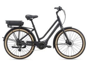 Giant Momentum Lafree E+