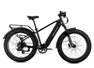 XPeak2 High-Step eBike