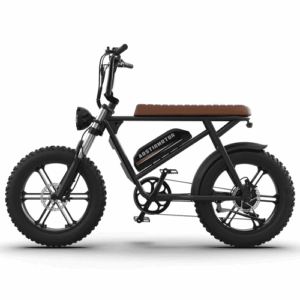new pattern Electric Bicycle 750W Motor 20" Fat Tire With 48V 13AH Li-Battery