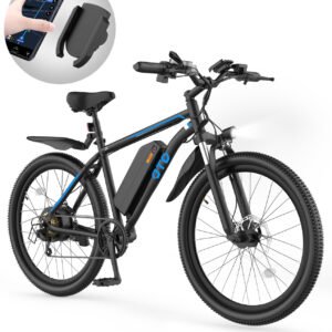 Baicycle Mountain Ebike - 1600W Peak Performance