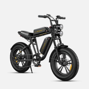 ENGWE M20 Dual Battery Long Range E-bike - 1000W Peak