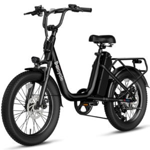 Baicycle Step-Thru Urban Fat Tire Ebike - 1200W
