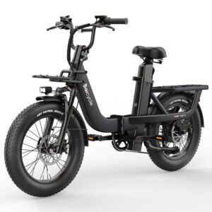 Baicycle Quest 1st Off-Road Fat Tire Ebike