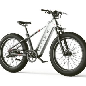 Zenith Model L5 All-Terrain E-Bike