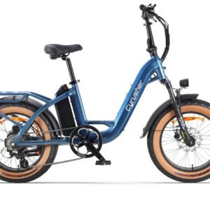 Cyrusher Luxe City Fat Tire E-Bike